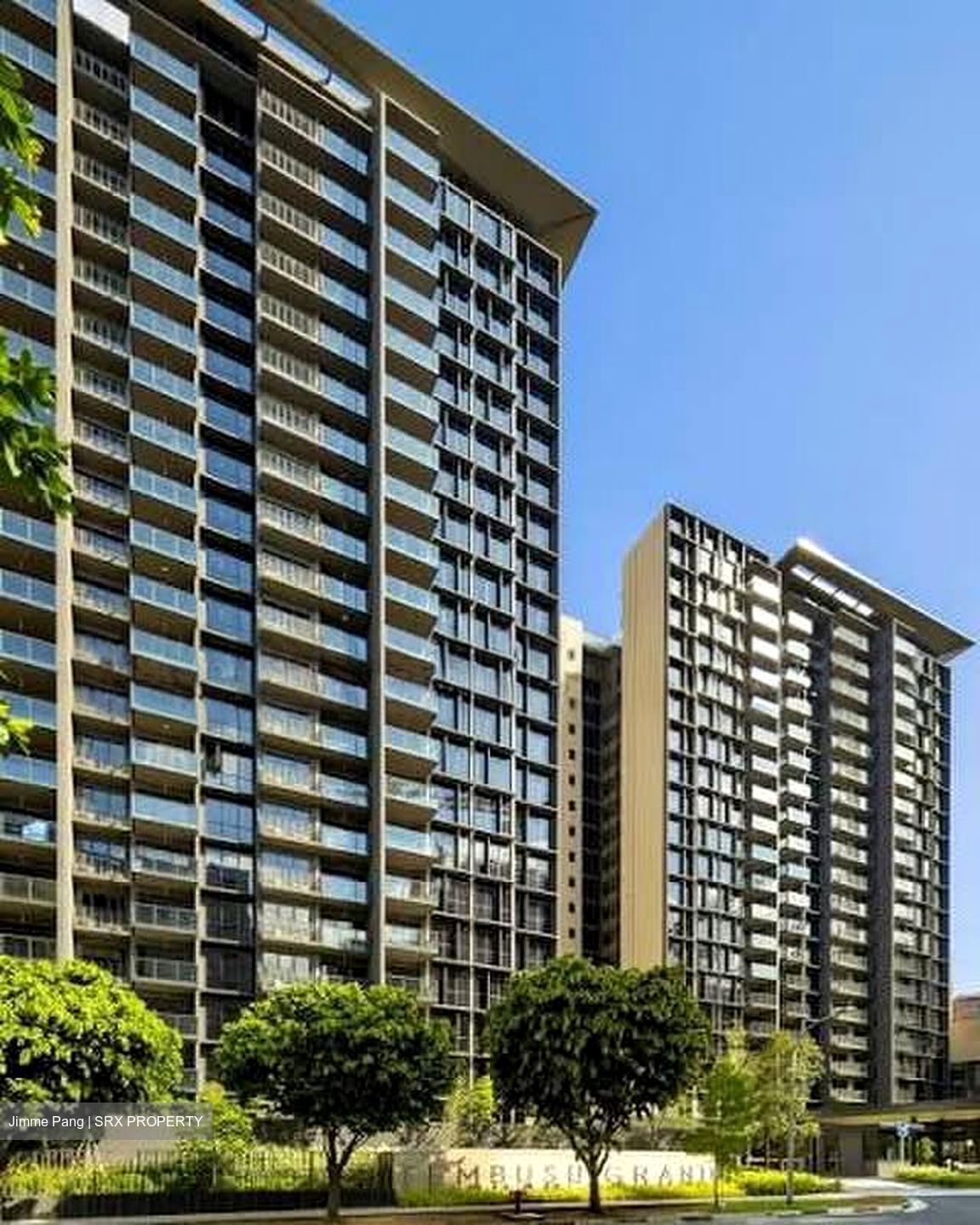 Tembusu Grand (D15), Condominium #568130061